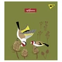 Зошит Yes А5 Avifauna 24 аркушів клітинка (766833) - зменшене зображення 2