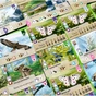 Настільна гра Lord of Boards Лісова метушня. Альпи (Forest Shuffle: Alpine Expansion) (укр.) доповнення (LOB2405UA) - зменшене зображення 5