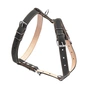 Шлея для собак Collar подвійна для середніх порід Ш 25 мм А:49-68 см В:68-80 см чорна (06421) - зменшене зображення 1