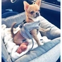 Автомобільне крісло для тварин Chloe's Home Paris M/L 65х45 см сіре (CLH1028) - зменшене зображення 2