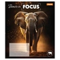 Зошит 1 вересня Beasts in Focus А5 60 аркушів лінія (768063) - зменшене зображення 5
