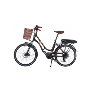 Електровелосипед Trinx E-Bike Sella 2.0 24" рама-17" Black-Brown-Yellow (Sella2_17.B) зображення 1