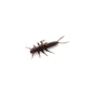 Силікон рибальський FishUP Stonefly 0.75" 050 - Green Pumpkin Brown/Red&Purple (12шт/уп) (1864.00.43) - зменшене зображення 1