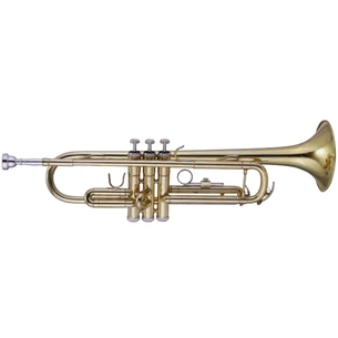 Труба Maxtone TTC-23/L изображение 1