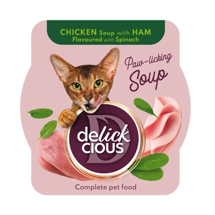 Вологий корм для кішок Delickcious Суп з курки з шинкою та додаванням шпинату 80 г (4820269141599) зображення 1