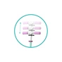 Самокат Qkids Bro pastel (HUBA00033) - зменшене зображення 6