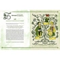 Книга Сковорода від А до Я - Леонід Ушкалов Видавництво Старого Лева (9786176792635) - зменшене зображення 4