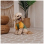 Футболка для животных Pet Fashion Kent S (4823082446155) - уменьшенное изображение 3
