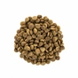 Сухий корм для кішок Brit Care Cat GF Large cats Power and Vitality 2 кг (8595602540914) - зменшене зображення 4