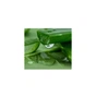 Маска для лица Lululun Premium Face Mask Okinawa Aloe Успокаивающая с экстрактом алоэ 1 шт х 5 уп (4582305069532) - уменьшенное изображение 3