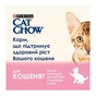 Вологий корм для кішок Purina Cat Chow З Ягням та Цукіні в желе 85 г (8445290426536) - зменшене зображення 7