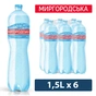 Мінеральна вода Миргородська Лагідна 1.5 сл/газ пет (4820000430975) - уменьшенное изображение 1