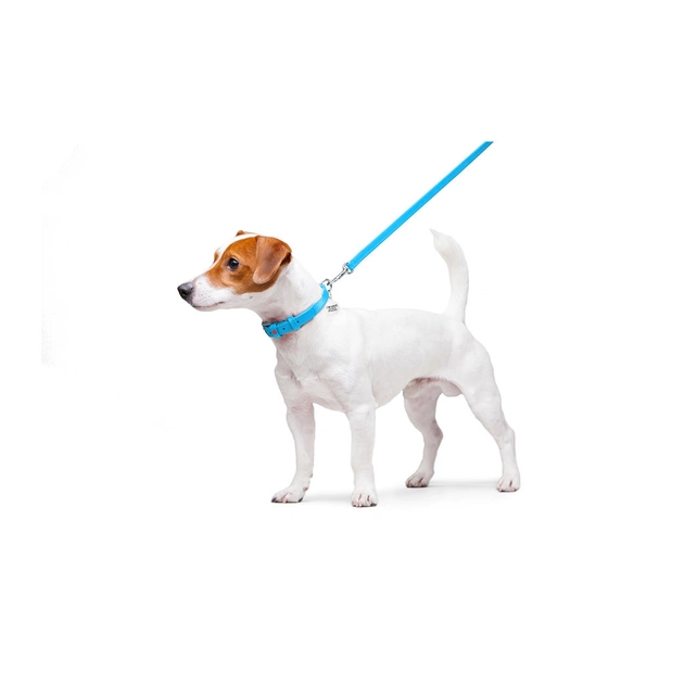 Повідець для собак WAUDOG Glamour шкіряний XS блакитний (33722) - зображення 3