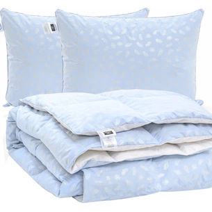 Ковдра MirSon Набір №2163 Bio-Blue Зима 90% пух 140х205 + подушки (2200003022377) зображення 1