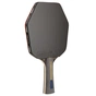Ракетка для настольного тенниса Stiga Pro Carbon Plus Cybershape Truls Edition 5 Star FL (1215-1306-35) (932354) - уменьшенное изображение 2
