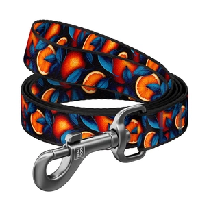 Повідець для собак WAUDOG Nylon "Апельсини" L-XXL (342-4054) зображення 1