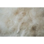 Ковдра MirSon пухова Royal Pearl №036 зима 140x205 см (2200000003591) - зменшене зображення 11