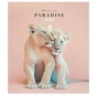 Зошит Школярик Love in paradise 48 аркушів клітинка (048-3256K) - уменьшенное изображение 1