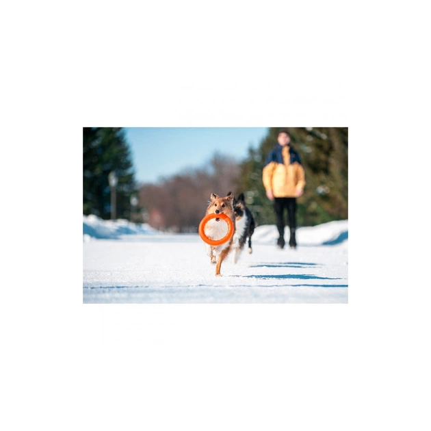 Іграшка для собак Collar PitchDog Кільце для апортування 17 см помаранчеве (62364) - picture 4