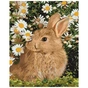 Картина по номерам Strateg Пухнастий зайка серед квітів 40х50 см (SY6080) - зменшене зображення 1
