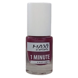 Лак для нігтів Maxi Color 1 Minute Fast Dry 041 (4823082004508) зображення 1