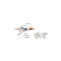 Патч-корд Cablexpert 2м S/FTP Cat 6A CU LSZH black (PP6A-LSZHCU-BK-2M) - уменьшенное изображение 3