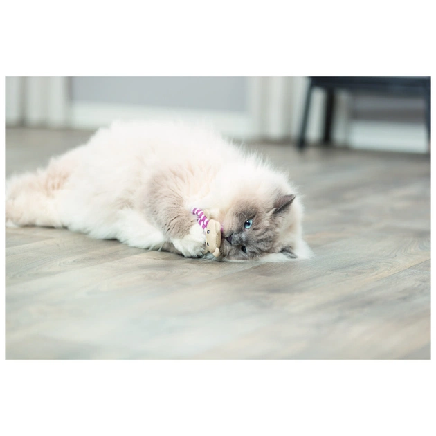 Іграшка для котів Trixie Ведмідь з котячою м'ятою 12 см (4011905456652) - picture 7