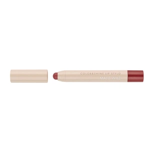 Помада для губ Malu Wilz Color & Shine Lip Stylo 40 - Rosy Brown (4060425027613) зображення 1