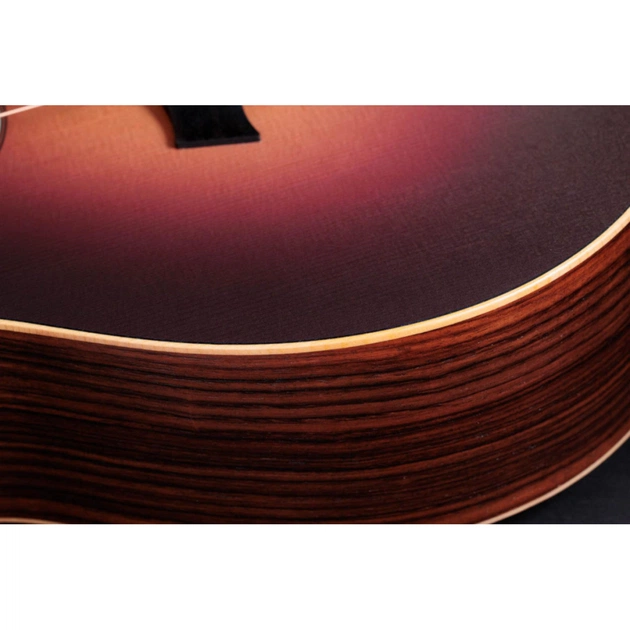 Гітара електроакустична Taylor Guitars 50th Anniversary GS Mini-e Rosewood SB LTD (236873) - picture 12