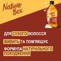 Шампунь Nature Box для живлення та інтенсивного догляду за волоссям 385 мл (9000101299250) - зменшене зображення 2