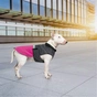 Попона для тварин Pet Fashion ROY 2XL малиново-сіра (4823082432912) - уменьшенное изображение 7