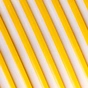 Пластик для 3D-принтера Polymaker PLA PANCHROMA DUAL SILK 1,75mm 1kg Gold-Silver (CA03027) - зменшене зображення 4
