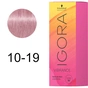 Фарба для волосся Schwarzkopf Professional Igora Vibrance 10-19 - М'який тонер Попелясто-фіолетовий (7702045430981) - зменшене зображення 2