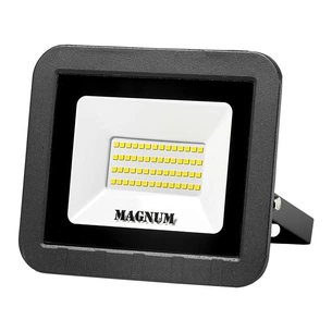 Прожектор MAGNUM FL ECO LED 50Вт slim 6500К IP65 (90011661) зображення 1