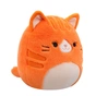 М'яка іграшка Squishmallows Руда кішечка Джіджі 30 см (SQCR06684) - зменшене зображення 6
