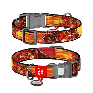 Нашийник для тварин WAUDOG Nylon з QR паспортом "Швидкість Флеша", пластиковий фастекс, M (281-1080) зображення 1