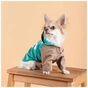 Дощовик для тварин Pet Fashion Semmy XS (4823082434497) - зменшене зображення 6