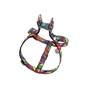 Шлея для собак WAUDOG Nylon з QR паспортом анатомічна "Вітраж" XS (5253) - зменшене зображення 2