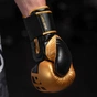 Боксерські рукавички Phantom APEX Elastic Gold 16oz (PHBG2215-16) - зменшене зображення 6