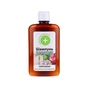Шампунь Домашній Доктор Цибулево-часниковий Зміцнення 300 мл (4823015935664) - зменшене зображення 1