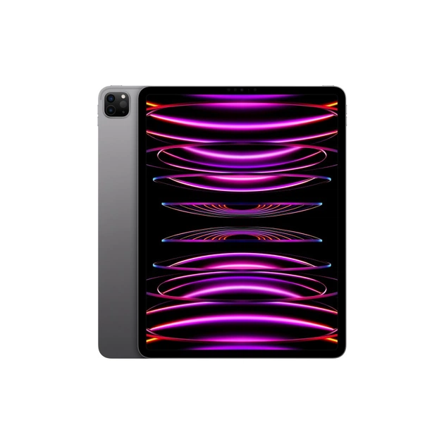 Планшет Apple iPad Pro 12,9" M2 Wi‑Fi + LTE 256GB Space Grey (MP203RK/A) - зображення 1