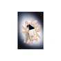 Консилер Artdeco Perfect Teint Concealer 23 - Medium Beige (4052136096200) - уменьшенное изображение 8