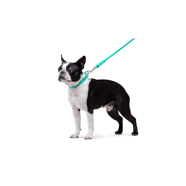 Повідець для собак WAUDOG Glamour круглий XS d 8 мм Д 122 см ментоловий (337713) - picture 5