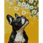 Картина по номерам Santi алмазна мозаїка Бульдог і квіти 40х50 см на підрамник (956048) - preview 1