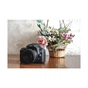 Цифровий фотоапарат Canon EOS 2000D 18-55 DC III (2728C007AA) - зменшене зображення 11