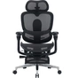 Крісло офісне Sihoo Doro C500 V2 Ultra Black з підставкою для ніг (C500-V2-B101-JT) - зменшене зображення 1