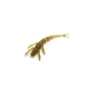 Силікон рибальський FishUP Flit 2" 074 - Green Pumpkin Seed (9шт/уп) (1862.00.84) - зменшене зображення 2