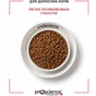 Сухий корм для кішок ProScience Adult Cat Chicken 15 кг (8694686407721) - зменшене зображення 8