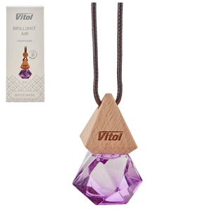 Ароматизатор для автомобіля VITOL Air White Musk 8мл (VBA05) picture 1