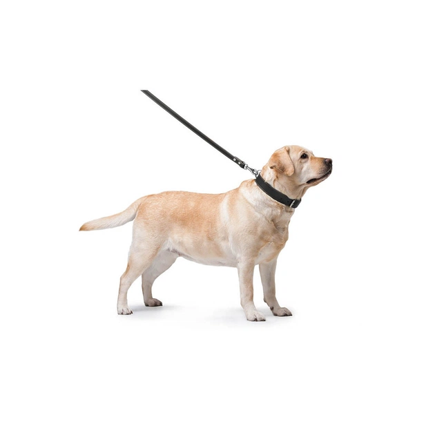 Повідець для собак Collar подвійний з прошивкою Ш 25 мм Д 122 см чорний (04821) - зображення 3